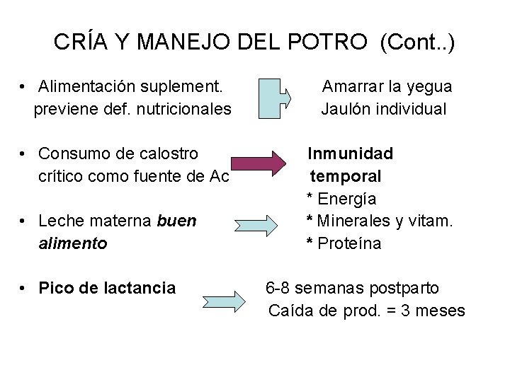 CRÍA Y MANEJO DEL POTRO (Cont. . ) • Alimentación suplement. previene def. nutricionales