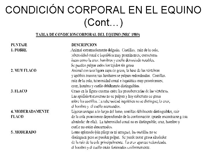 CONDICIÓN CORPORAL EN EL EQUINO (Cont…) 