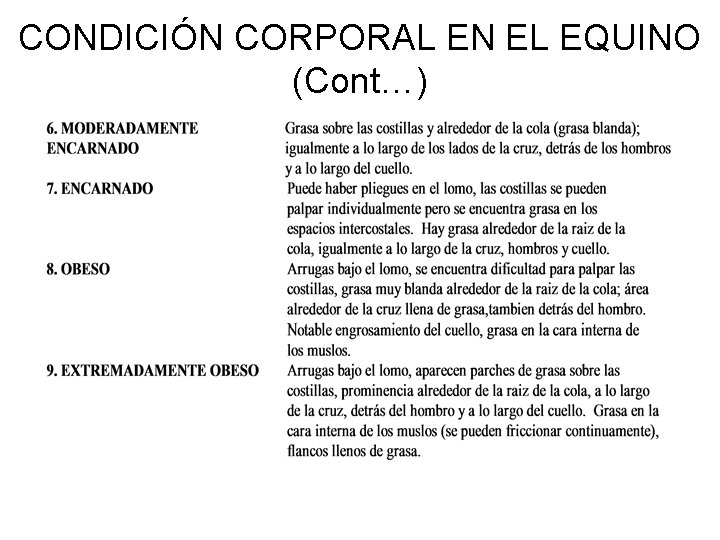 CONDICIÓN CORPORAL EN EL EQUINO (Cont…) 