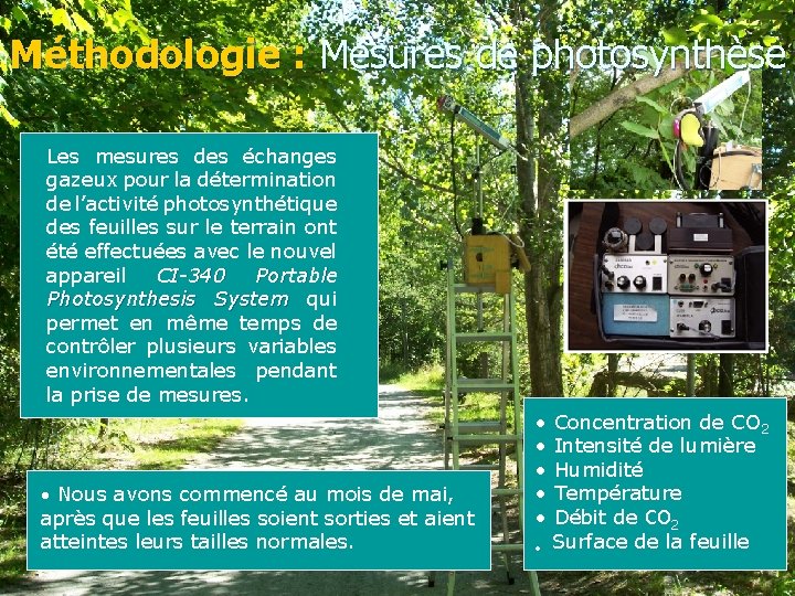 Méthodologie : Mesures de photosynthèse Les mesures des échanges gazeux pour la détermination de