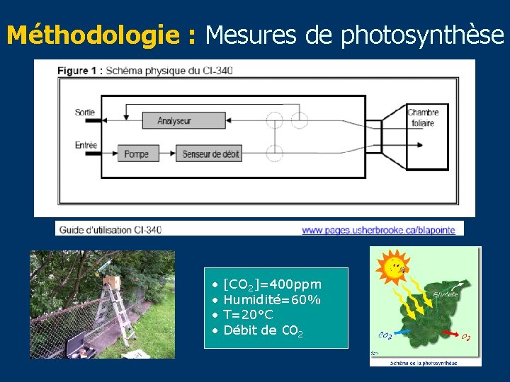 Méthodologie : Mesures de photosynthèse • • [CO 2]=400 ppm Humidité=60% T=20°C Débit de