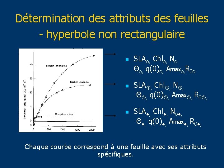 Détermination des attributs des feuilles - hyperbole non rectangulaire n n n SLAo, Chlo,