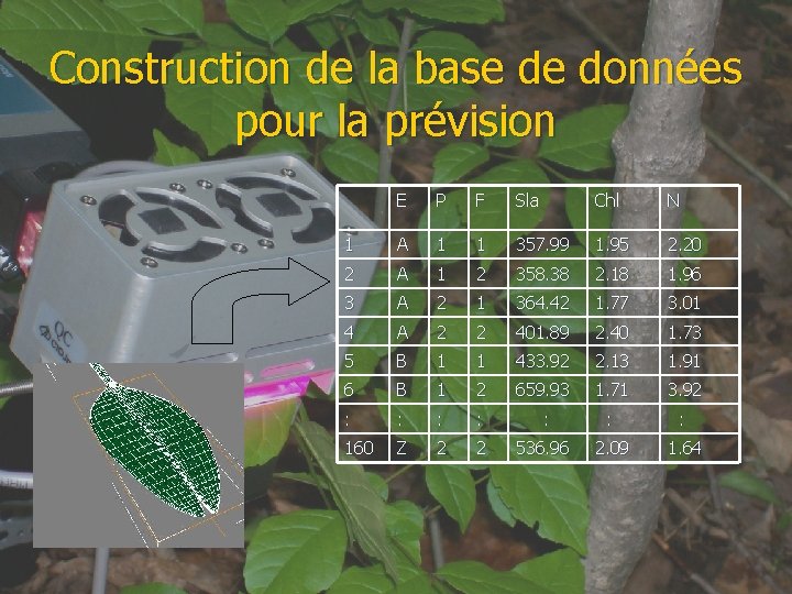 Construction de la base de données pour la prévision E P F Sla Chl