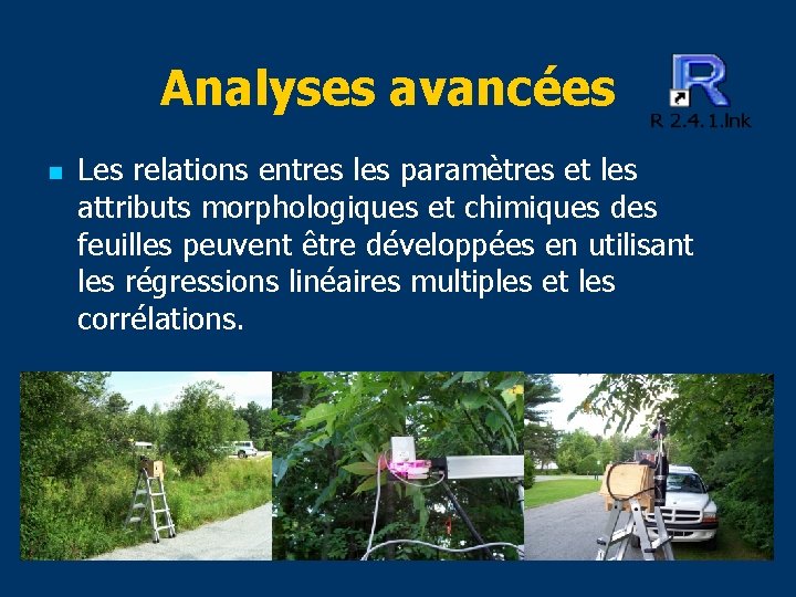 Analyses avancées n Les relations entres les paramètres et les attributs morphologiques et chimiques