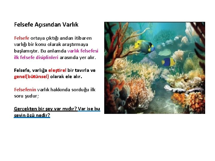 Felsefe Açısından Varlık Felsefe ortaya çıktığı andan itibaren varlığı bir konu olarak araştırmaya başlamıştır.