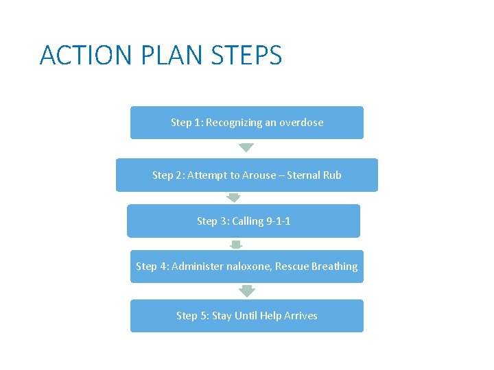ACTION PLAN STEPS Step 1: Recognizing an overdose Step 2: Attempt to Arouse –