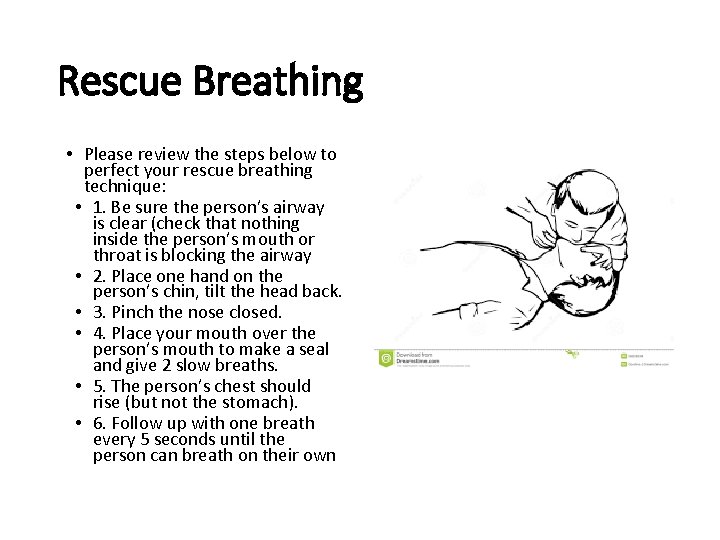 Rescue Breathing • Please review the steps below to perfect your rescue breathing technique: