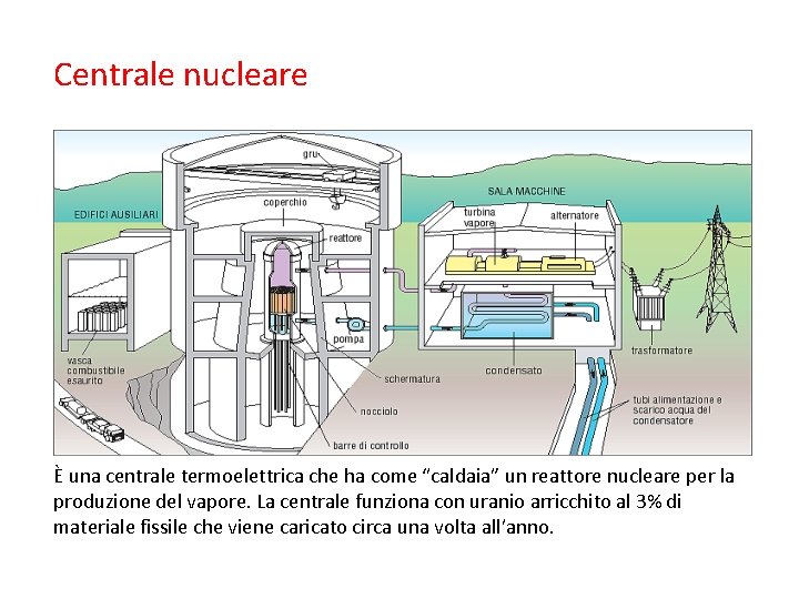 Centrale nucleare È una centrale termoelettrica che ha come “caldaia” un reattore nucleare per