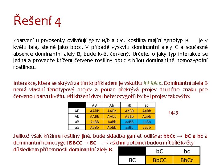 Řešení 4 Zbarvení u prvosenky ovlivňují geny B/b a C/c. Rostlina mající genotyp B___