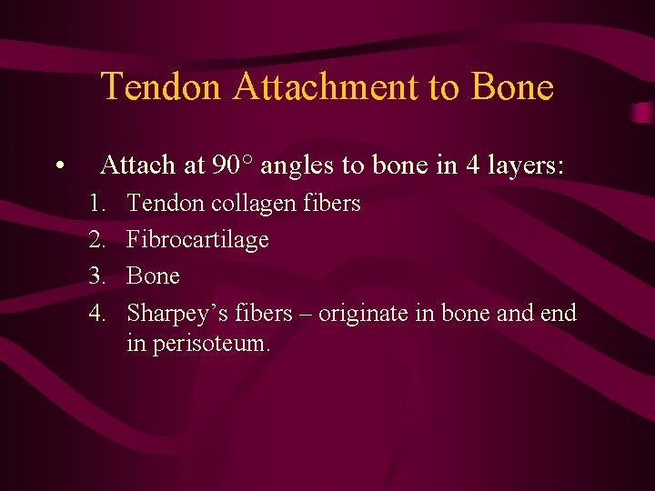 Tendon Attachment to Bone • Attach at 90° angles to bone in 4 layers: