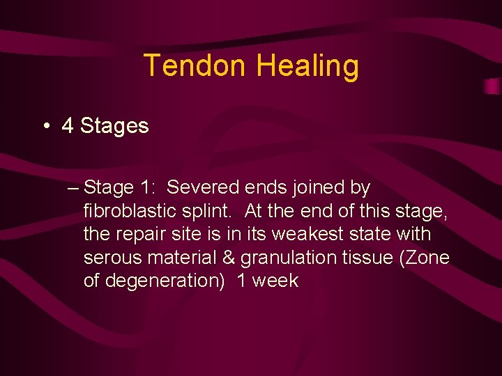Tendon Healing • 4 Stages – Stage 1: Severed ends joined by fibroblastic splint.