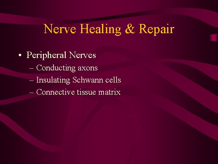 Nerve Healing & Repair • Peripheral Nerves – Conducting axons – Insulating Schwann cells
