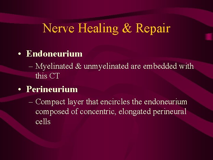 Nerve Healing & Repair • Endoneurium – Myelinated & unmyelinated are embedded with this