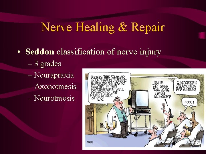 Nerve Healing & Repair • Seddon classification of nerve injury – 3 grades –