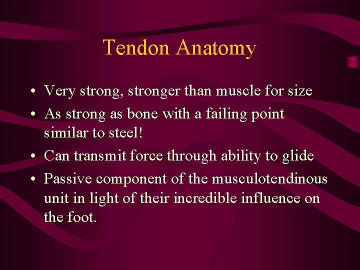 Tendon Anatomy • Very strong, stronger than muscle for size • As strong as