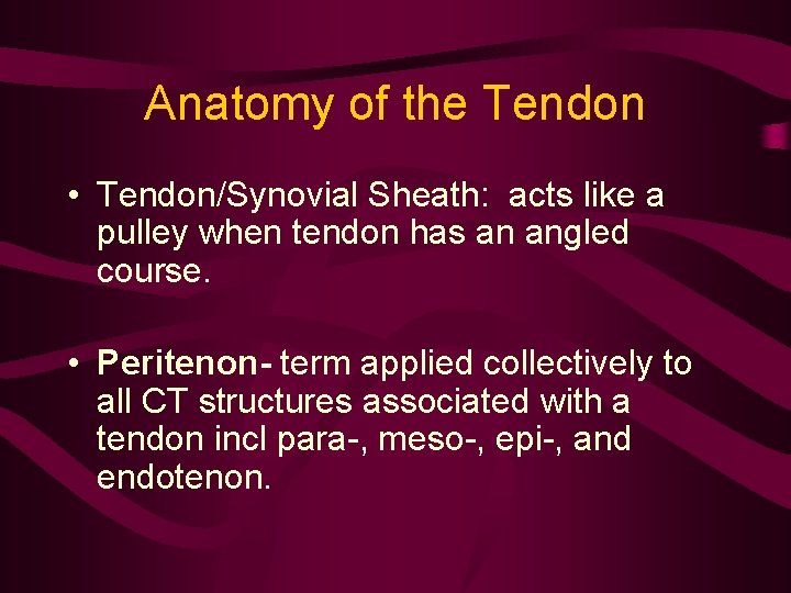 Anatomy of the Tendon • Tendon/Synovial Sheath: acts like a pulley when tendon has