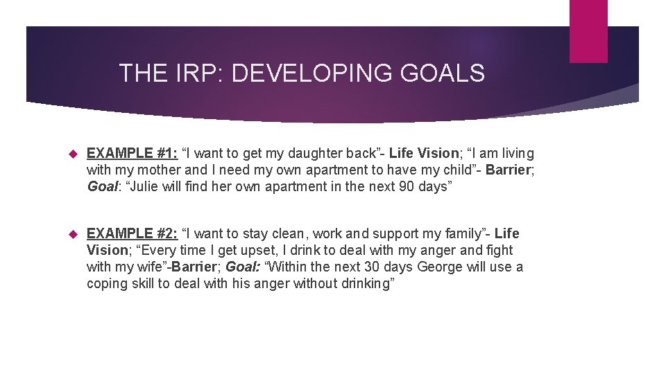THE IRP: DEVELOPING GOALS EXAMPLE #1: “I want to get my daughter back”- Life