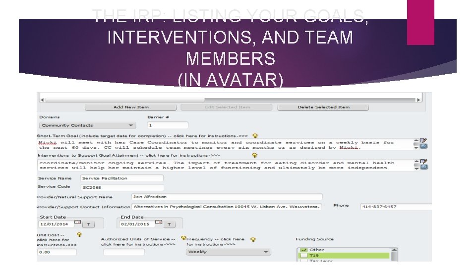 THE IRP: LISTING YOUR GOALS, INTERVENTIONS, AND TEAM MEMBERS (IN AVATAR) 