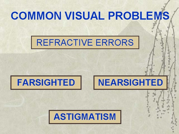 COMMON VISUAL PROBLEMS REFRACTIVE ERRORS FARSIGHTED NEARSIGHTED ASTIGMATISM 