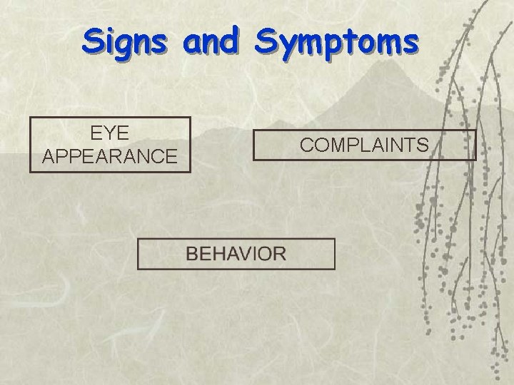 Signs and Symptoms EYE APPEARANCE COMPLAINTS 