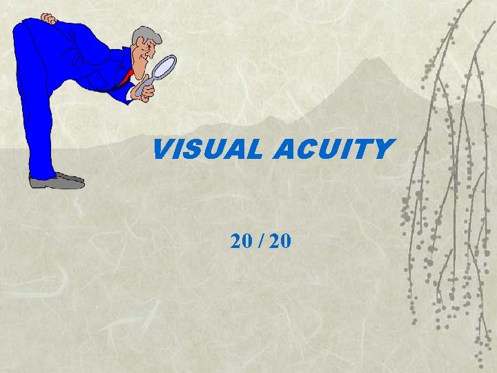 VISUAL ACUITY 20 / 20 