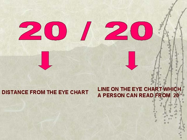 DISTANCE FROM THE EYE CHART LINE ON THE EYE CHART WHICH A PERSON CAN