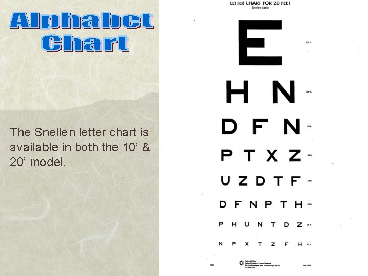 The Snellen letter chart is available in both the 10’ & 20’ model. 