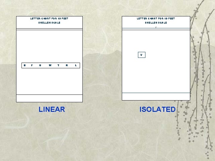 LETTER CHART FOR 10 FEET SNELLEN SCALE / V B F U W T