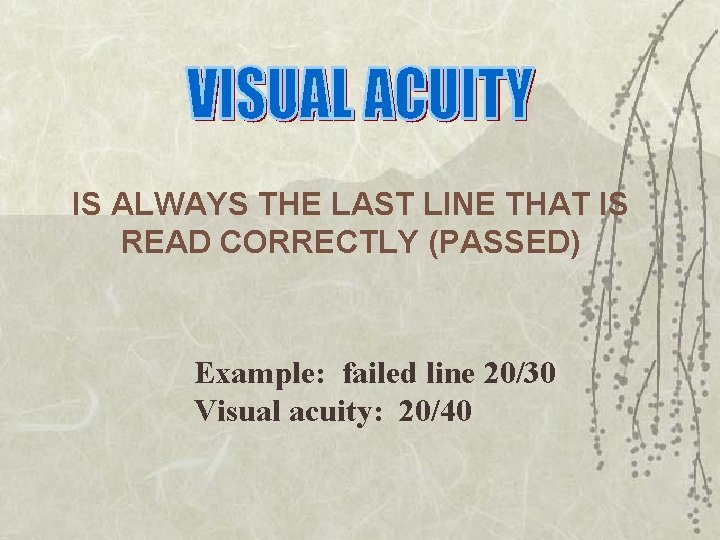 IS ALWAYS THE LAST LINE THAT IS READ CORRECTLY (PASSED) Example: failed line 20/30