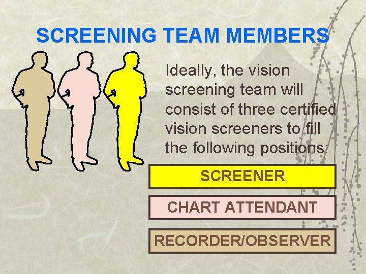 SCREENING TEAM MEMBERS Ideally, the vision screening team will consist of three certified vision