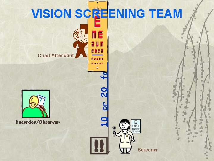 VISION SCREENING TEAM Recorder/Observer 10 or 20 feet Chart Attendant Screener 