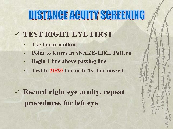 ü TEST RIGHT EYE FIRST • Use linear method Point to letters in SNAKE-LIKE