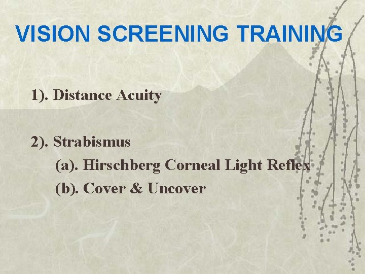 VISION SCREENING TRAINING 1). Distance Acuity 2). Strabismus (a). Hirschberg Corneal Light Reflex (b).
