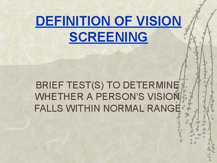 DEFINITION OF VISION SCREENING BRIEF TEST(S) TO DETERMINE WHETHER A PERSON’S VISION FALLS WITHIN