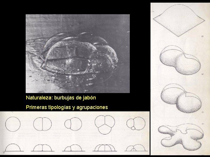 Naturaleza: burbujas de jabón Primeras tipologías y agrupaciones 