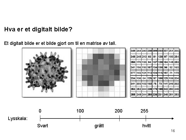 Hva er et digitalt bilde? Et digitalt bilde er et bilde gjort om til