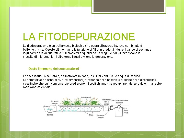 LA FITODEPURAZIONE La fitodepurazione è un trattamento biologico che opera attraverso l’azione combinata di
