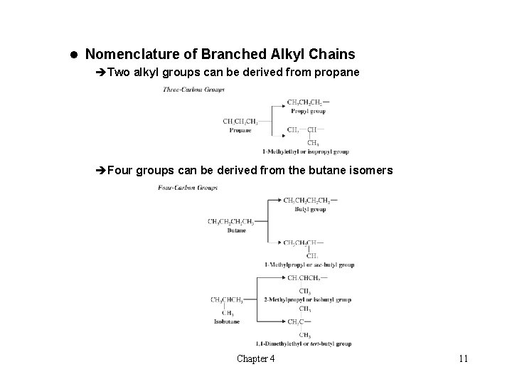 l Nomenclature of Branched Alkyl Chains èTwo alkyl groups can be derived from propane