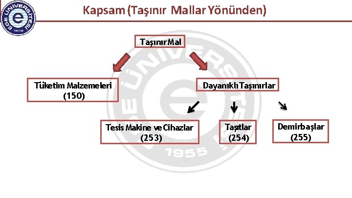 Kapsam (Taşınır Mallar Yönünden) Taşınır Mal Tüketim Malzemeleri (150) Tesis Makine ve Cihazlar (253)