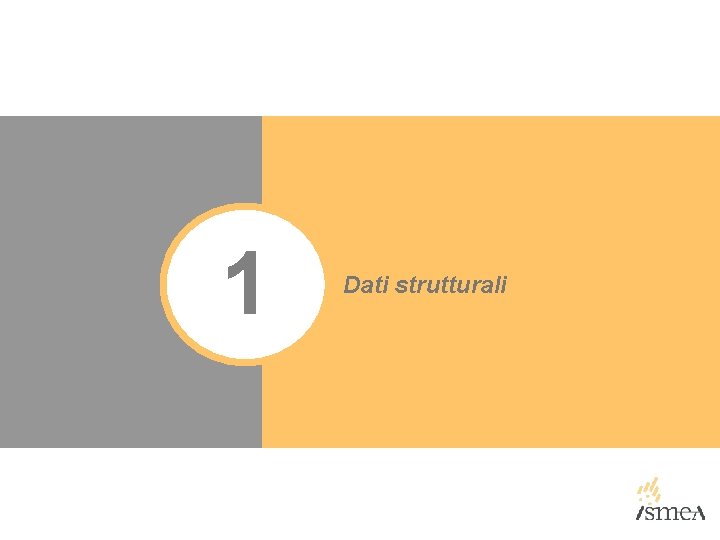 1 Dati strutturali 1 Dati strutturali