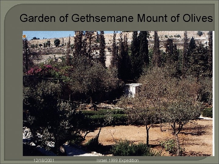 Garden of Gethsemane Mount of Olives 12/18/2001 Israel 1999 Expedition 