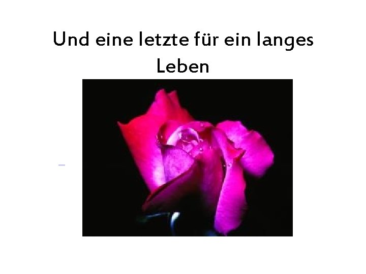 Und eine letzte für ein langes Leben 