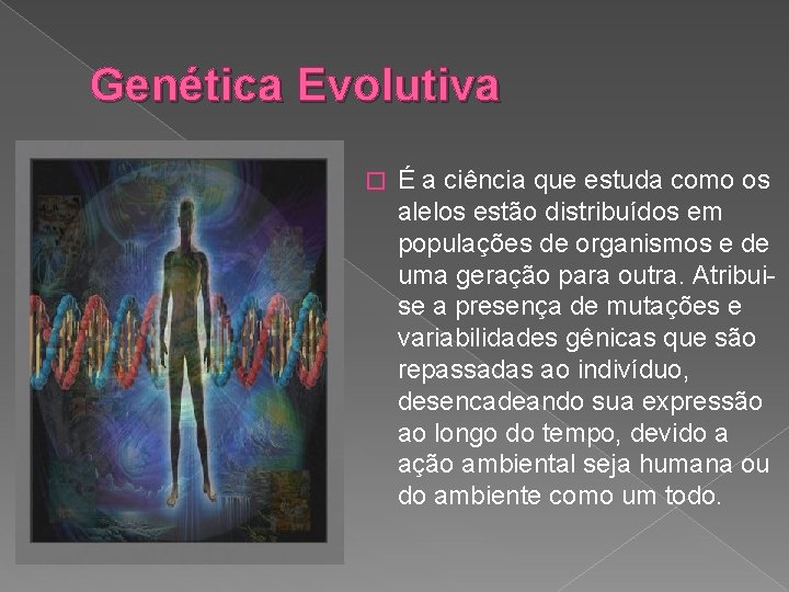 Genética Evolutiva � É a ciência que estuda como os alelos estão distribuídos em