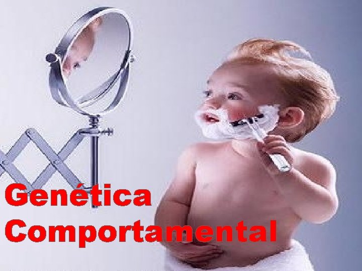 Genética Comportamental 