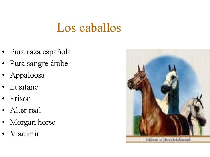 Los caballos • • Pura raza española Pura sangre árabe Appaloosa Lusitano Frison Alter