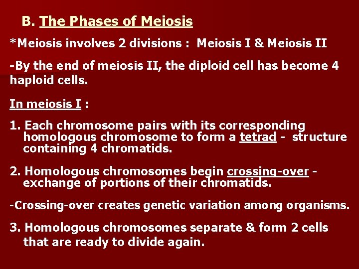 B. The Phases of Meiosis *Meiosis involves 2 divisions : Meiosis I & Meiosis