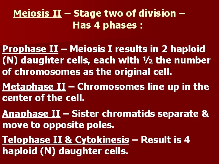 Meiosis II – Stage two of division – Has 4 phases : Prophase II