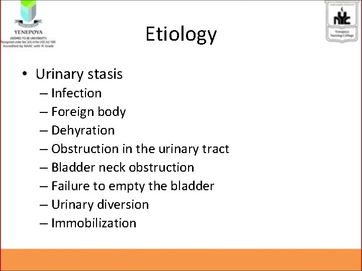 Etiology • Urinary stasis – Infection – Foreign body – Dehyration – Obstruction in Etiology • Urinary stasis – Infection – Foreign body – Dehyration – Obstruction in