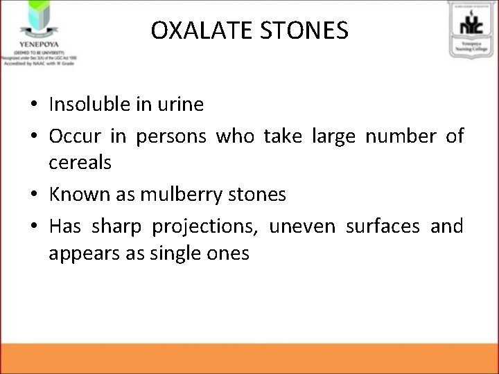 OXALATE STONES • Insoluble in urine • Occur in persons who take large number OXALATE STONES • Insoluble in urine • Occur in persons who take large number
