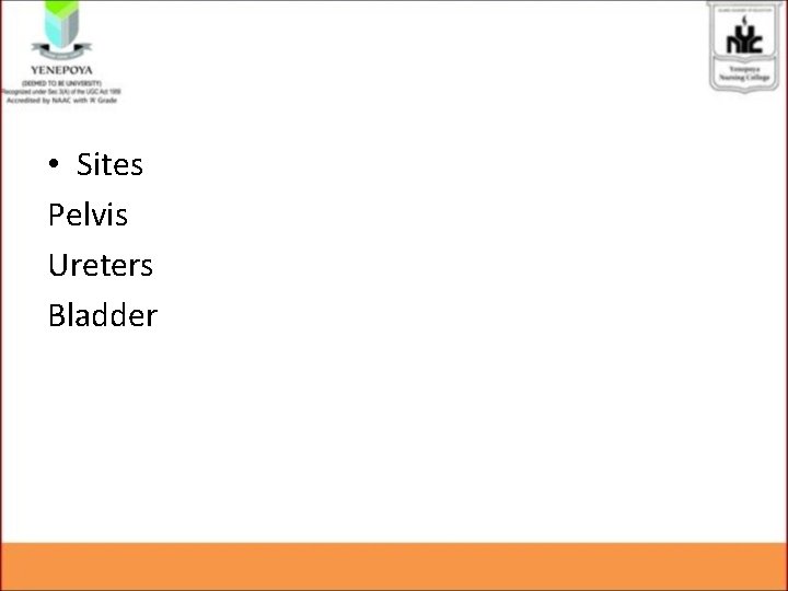 • Sites Pelvis Ureters Bladder • Sites Pelvis Ureters Bladder